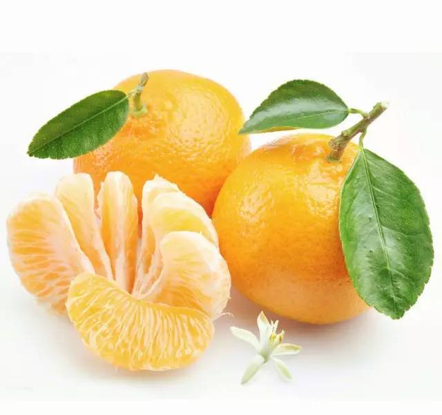 儿童简笔画大全图片水果涂色,秋天成熟的水果有哪些简笔画