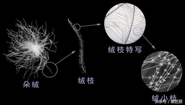羽绒被洗涤方法,羽绒被如何洗涤保养