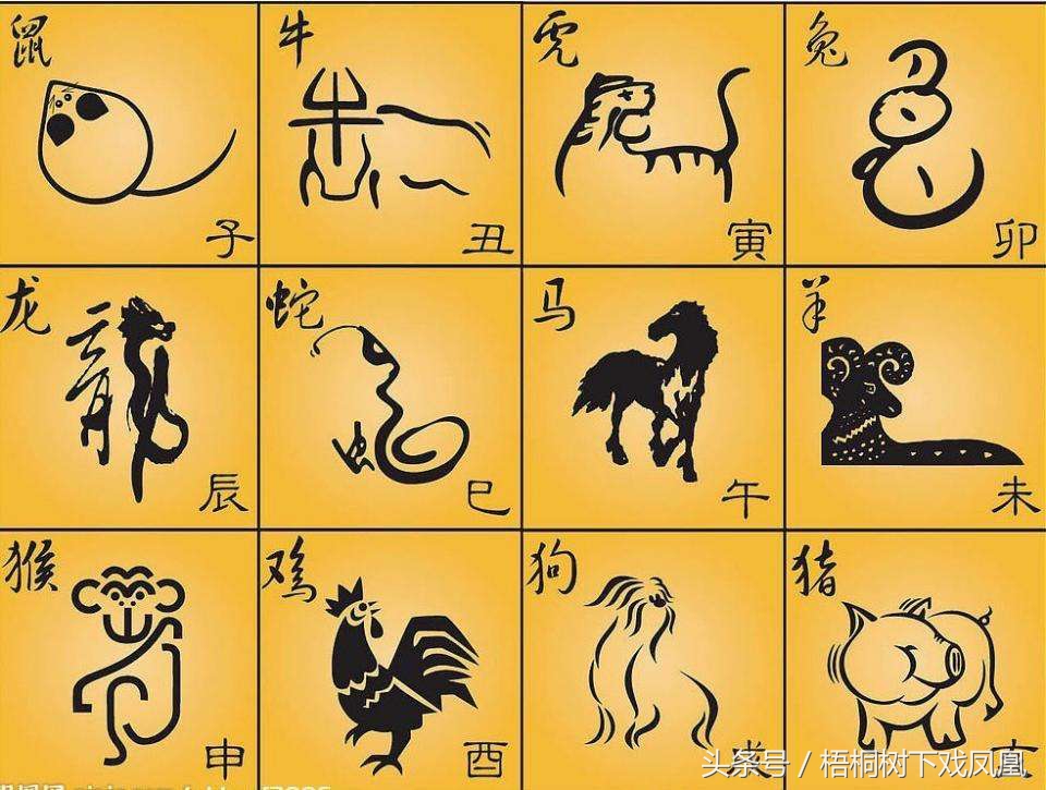 属相真龙和假龙有什么区别,真龙假龙自己辨别