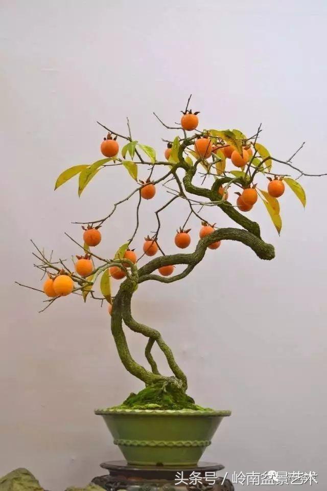 过年送礼好不好,过年送礼单数还是双数好