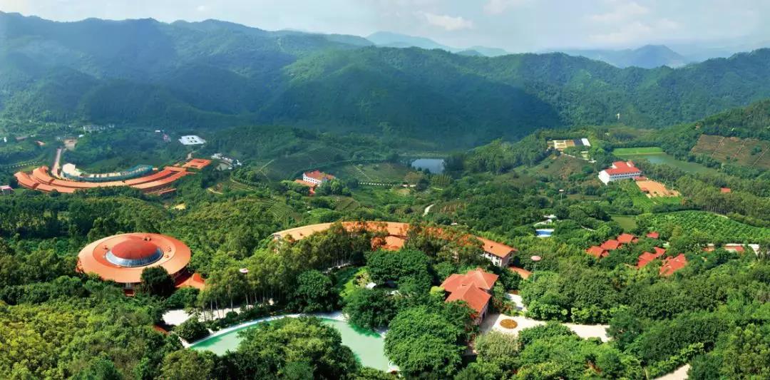 请到广东过大年2017,2018请到肇庆过大年