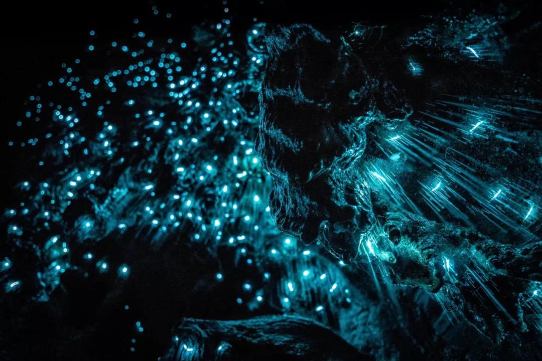 可以媲美欧洲的自驾游地区,十大适合自驾游的国家