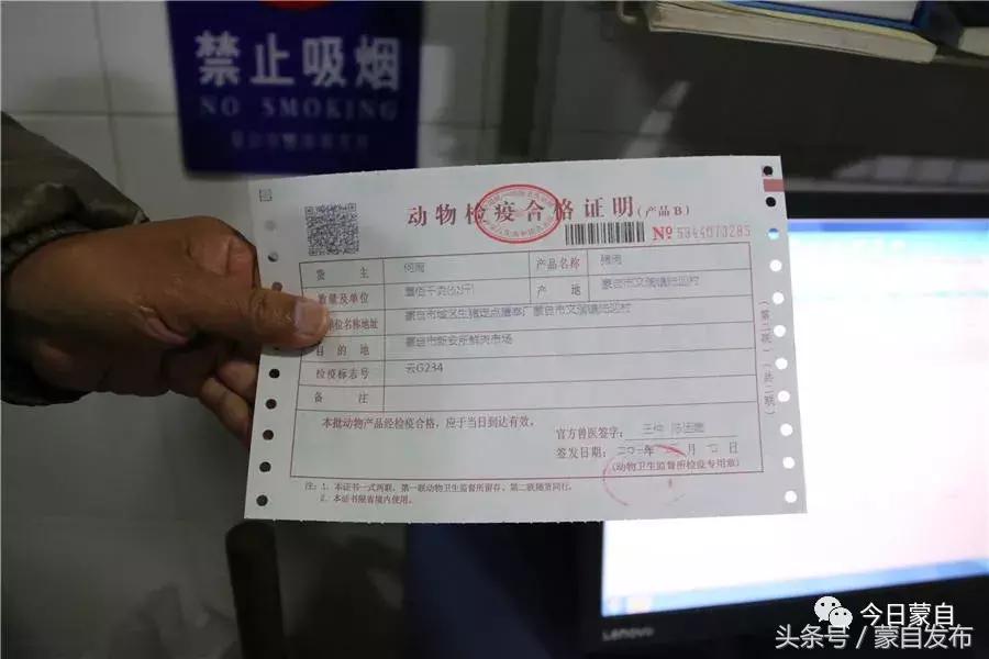 过年了，蒙自的这*猪种**肉千万别买！