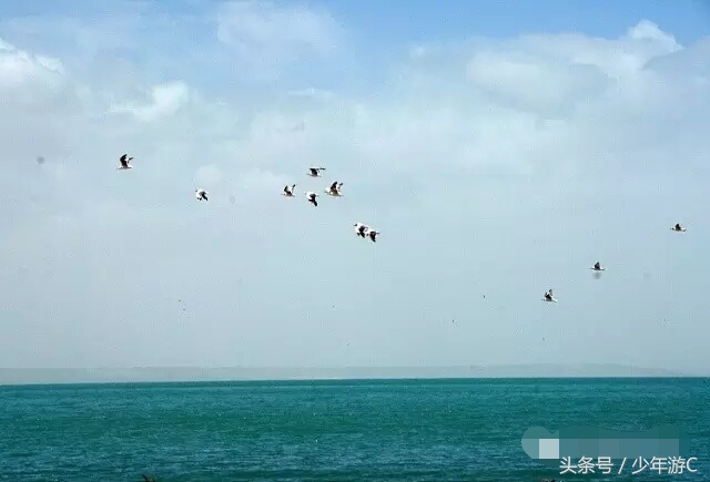 有2个浙江或6个台湾大,农民人均收入直逼上海,它就是*疆新**若羌县