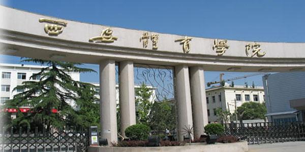 陕西省二本民办大学专业排名,陕西二本专业大学排名