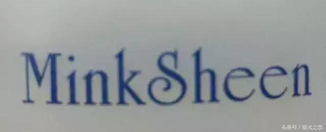 哪款宠物沐浴露好用又安全,petwish宠物沐浴露怎么样