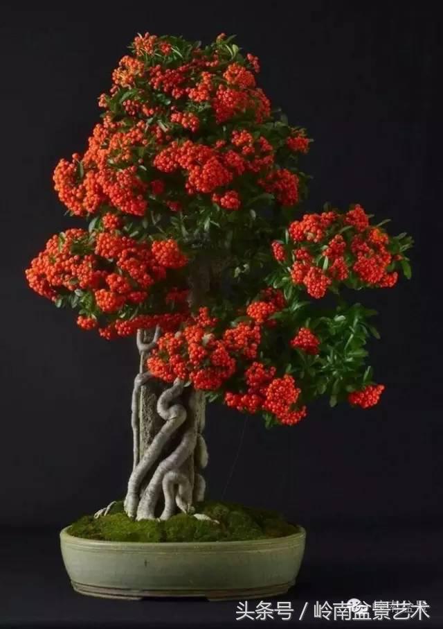 过年送礼好不好,过年送礼单数还是双数好