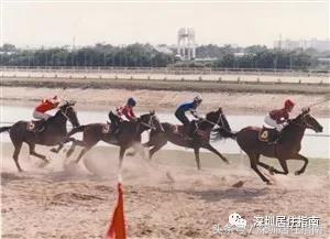 香蜜湖德仕堡新闻,香蜜湖1979拆除最新消息
