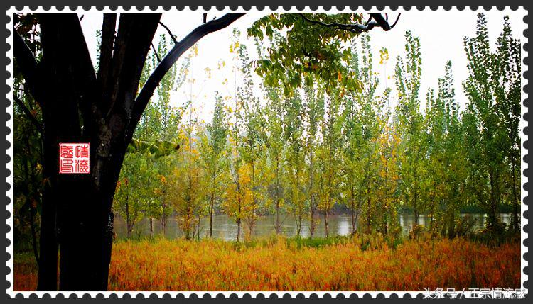 邛海公园旅游攻略,邛海旅游攻略酒村