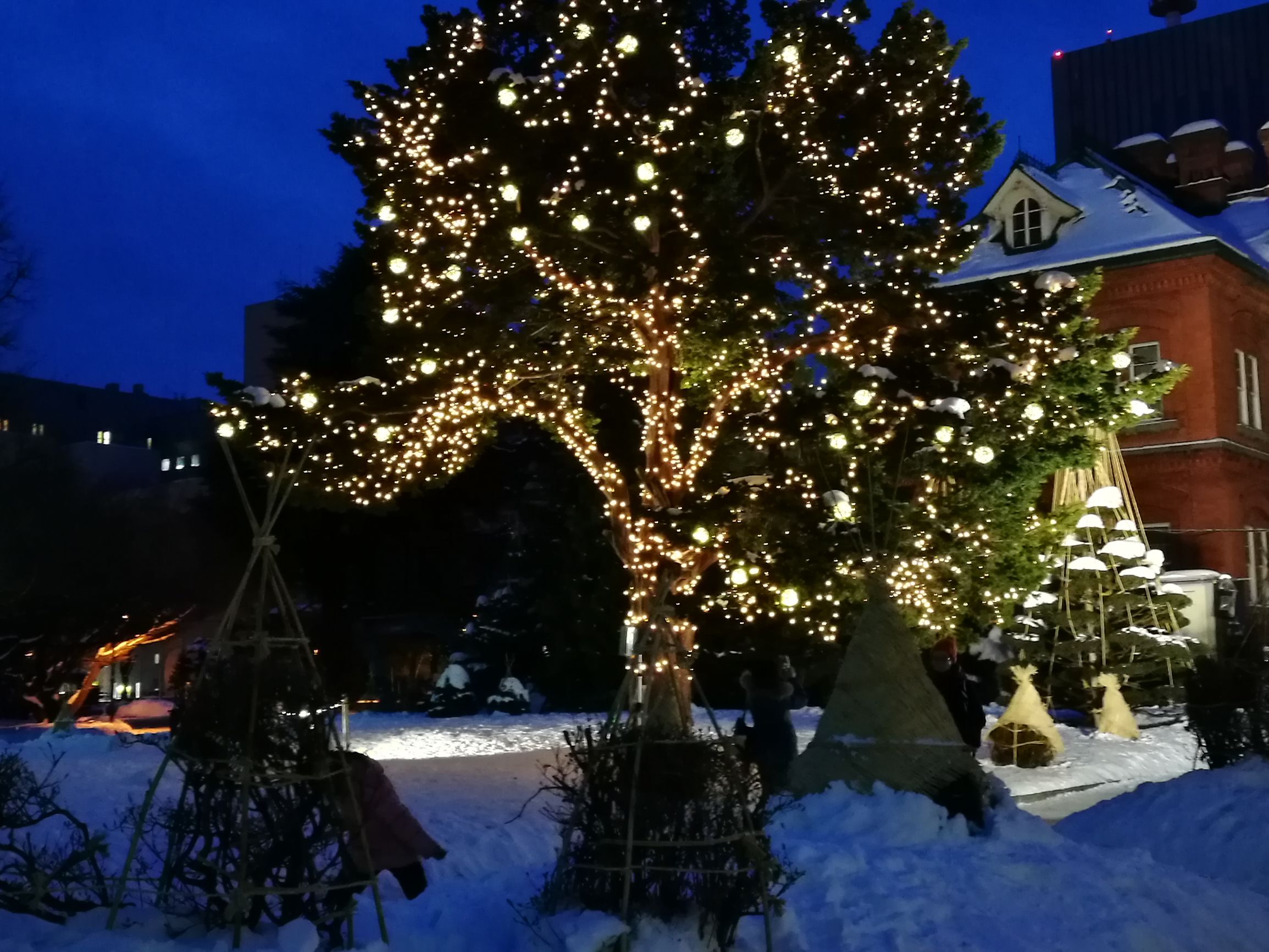 日本小樽旅游攻略,札幌小樽登别函馆路川的旅游顺序
