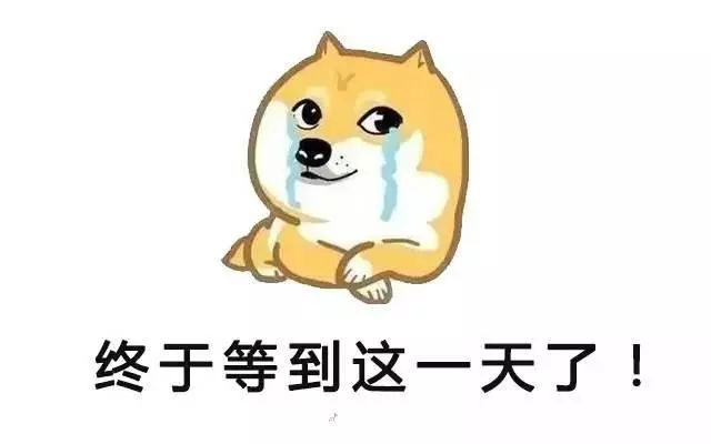 过年给老人送礼送什么最合适,过年送礼指南一招解决难题