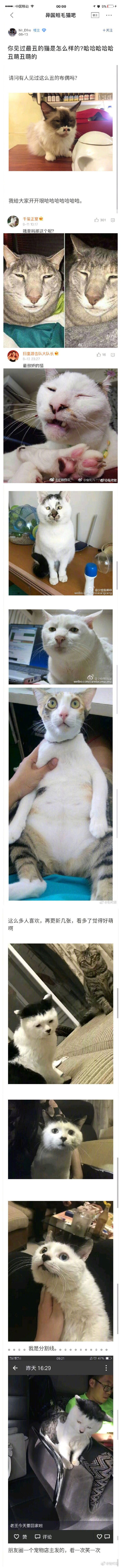 求生的意志力,冰淇淋求生秘籍