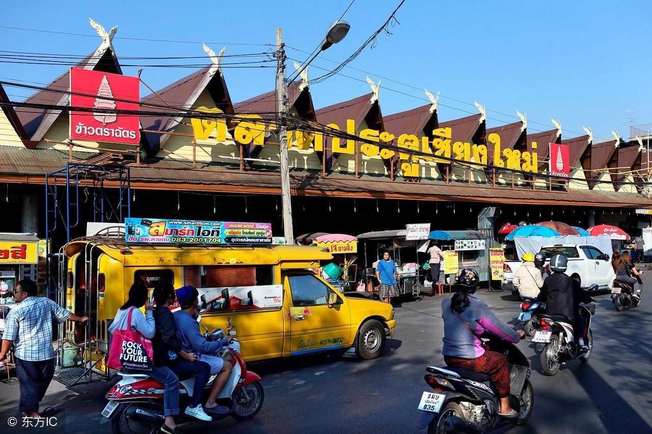 8个你不知道的冷知识!狗不能吃海带!