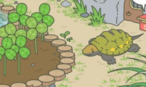 跟着青蛙学游泳,跟着学财务项目怎么样