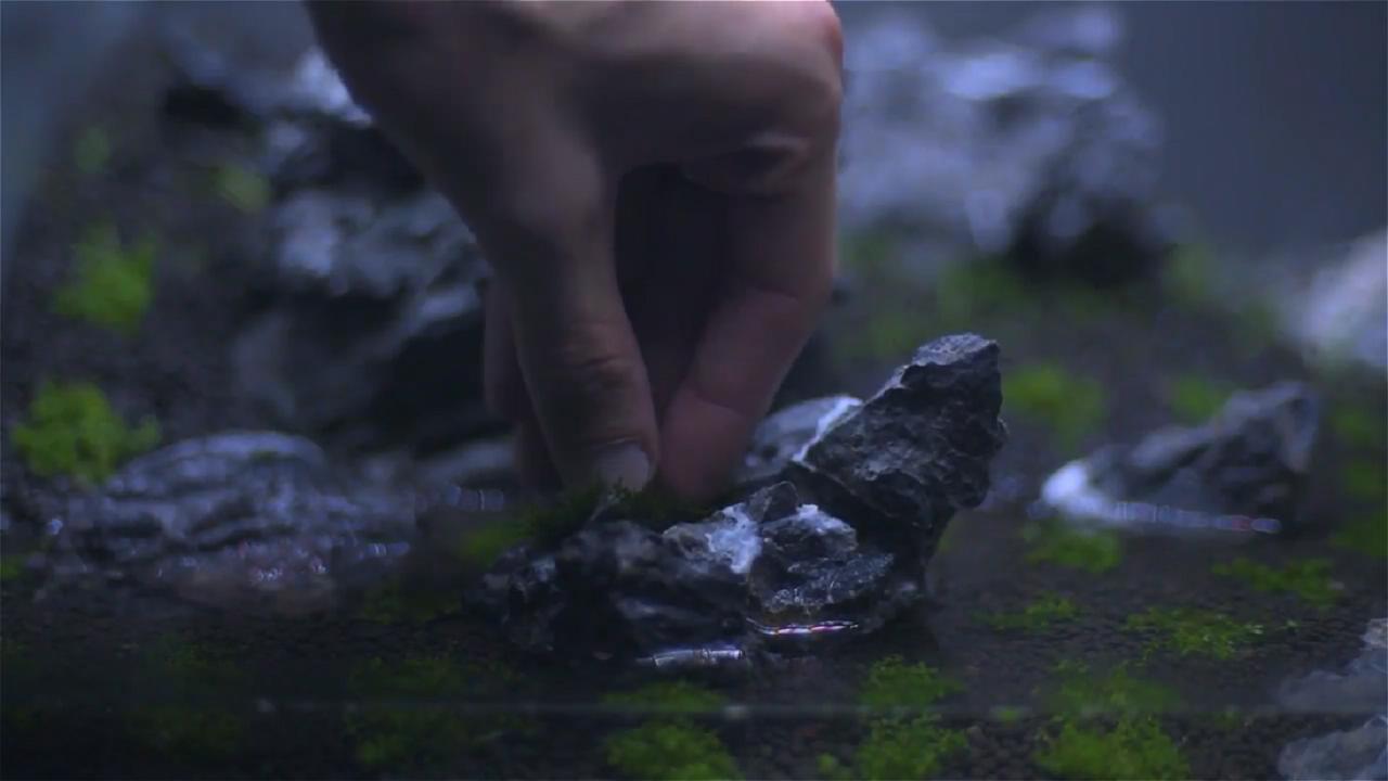 鱼缸景观搭建图解,鱼缸景观石制作教程