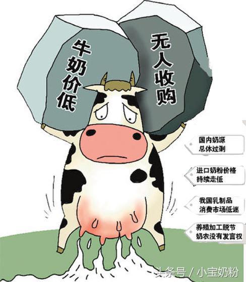 鐧借姳鑺辩殑鐗涘ザ鍊掓帀,鐧借姳鑺辩殑鐗涘ザ