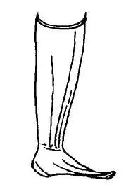 袜业源流史完整版,袜业源流史连载五