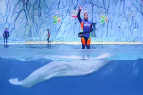 腊月二十四到大年三十，每晚央视少儿频道陪你《过年啦》！