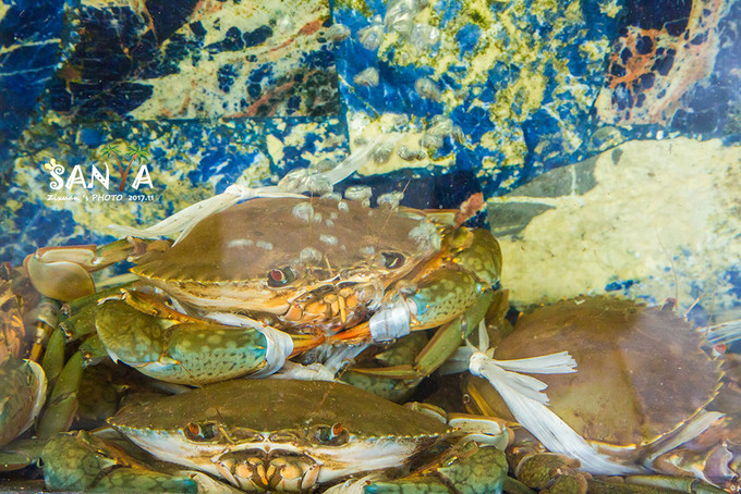 三亚离海南有多少公里,三亚一生去几次