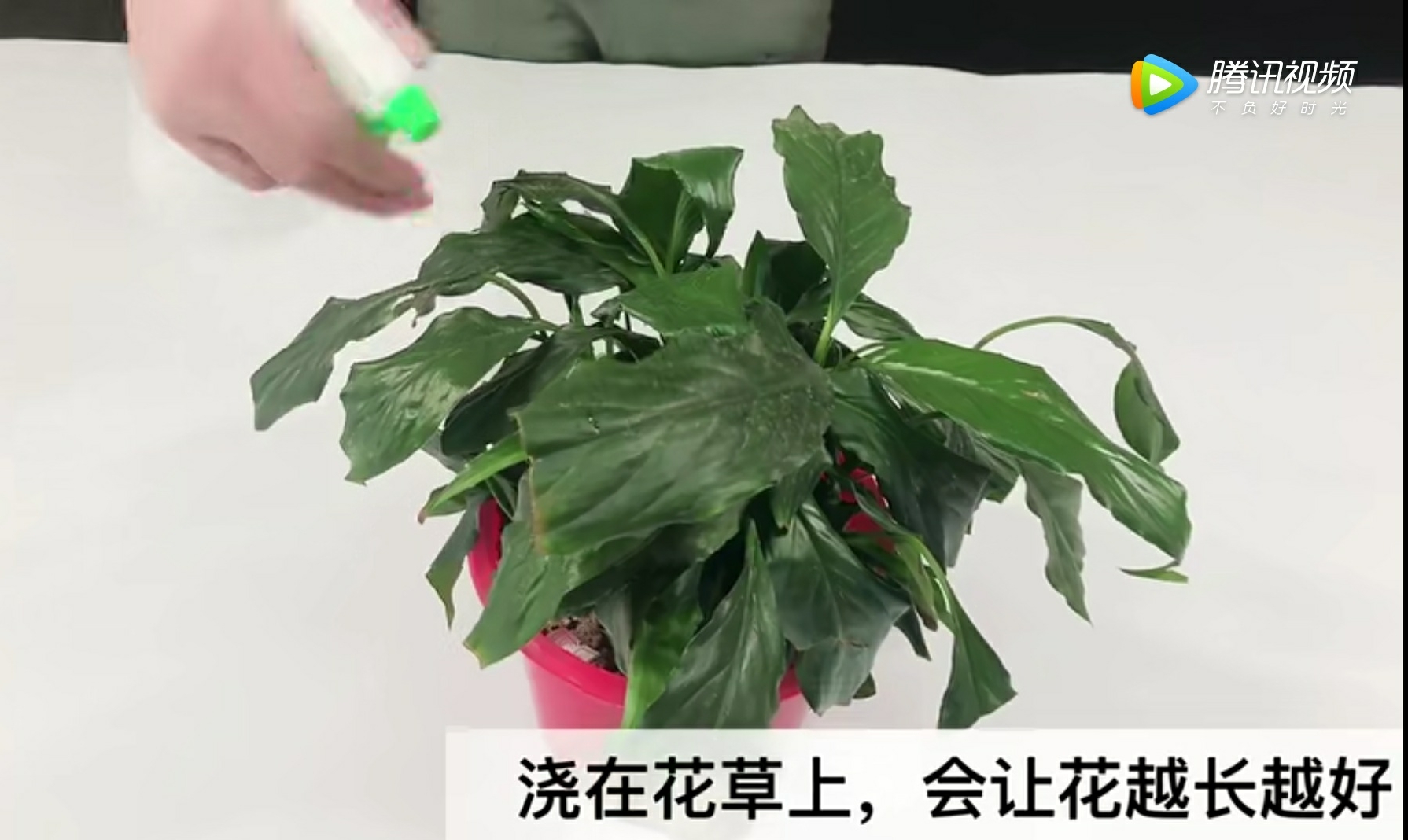 小苏打的妙用你都知道吗,小苏打妙用您知道多少
