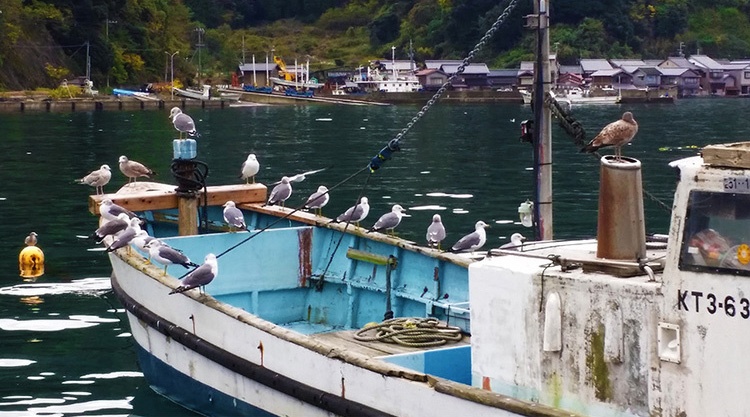 日本最美农民村庄,日本淳朴童话村落