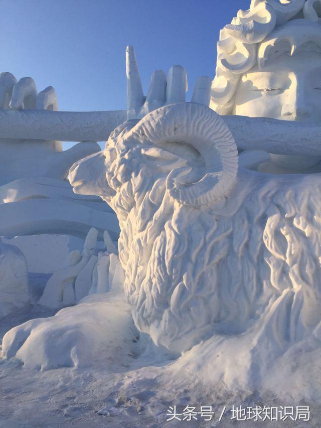 小白鲸的东北之旅｜地球知识局