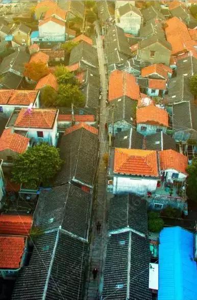 身虽远心已至怎么回复,身虽远心未远