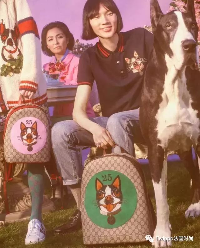 吐槽完了狗年单品，你给你的狗主子买了什么？