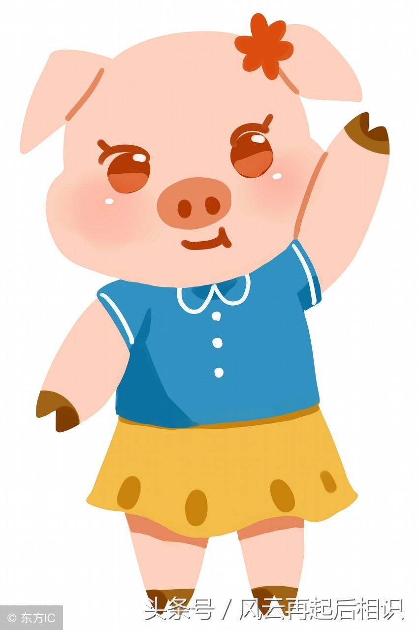 猪生肖的幸运色是什么,生肖猪2022的幸运色