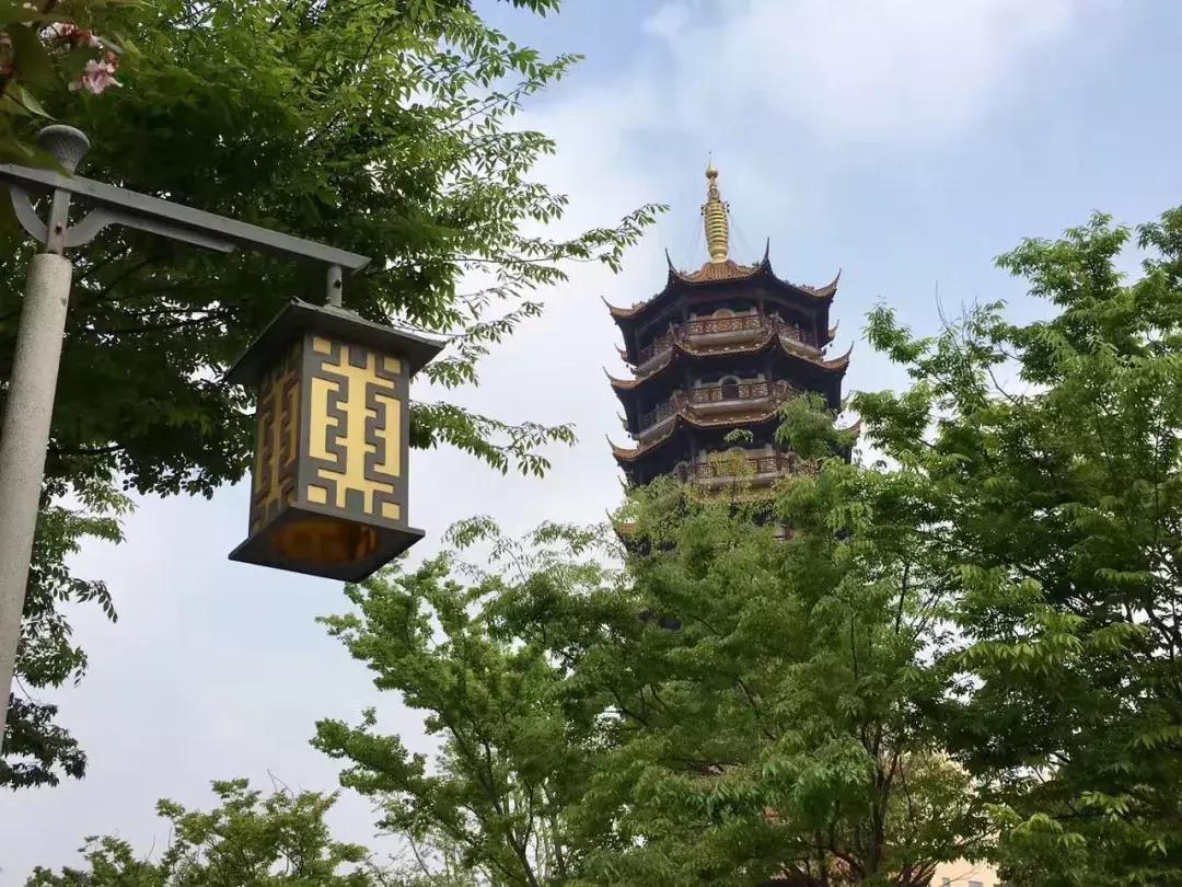 身虽远心已至怎么回复,身虽远心未远