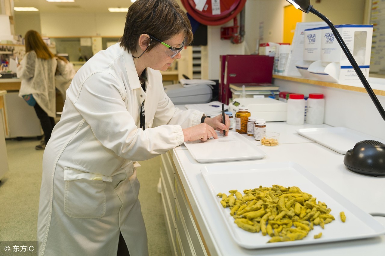 中药鉴定内容,中药鉴定的依据是什么