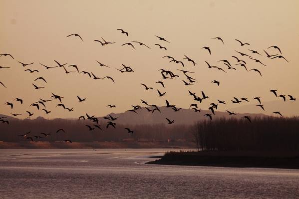 聊城人物：市摄影家协会主席林虎，透过摄影看文化