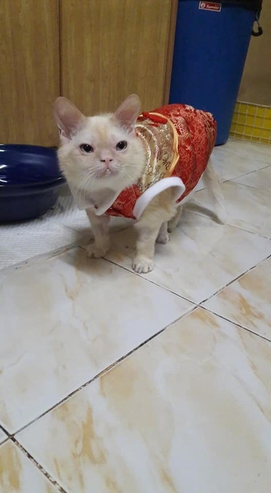 年会抽中11万元,年会抽中iphone