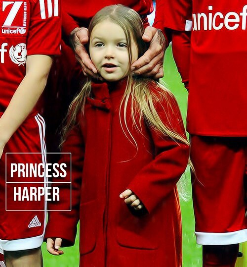 小七的名字终于落实了!贝克汉姆用毛笔亲自书法:小七!