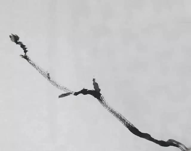 果果小写意牡丹画法教学视频,王绣写意牡丹画法零基础视频