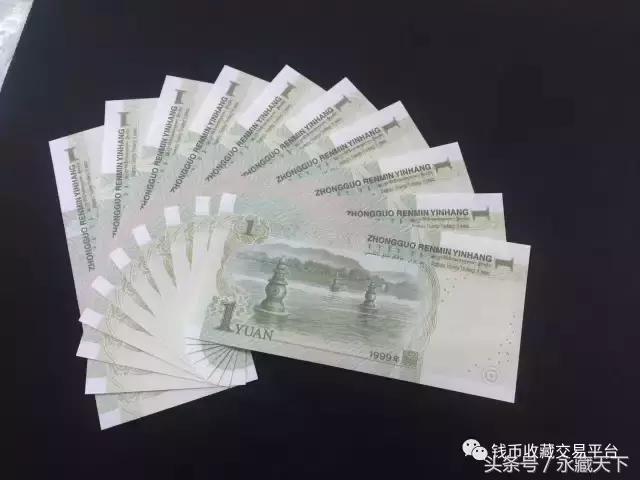 99版一元大叶兰有几冠,991大叶兰品种详细介绍