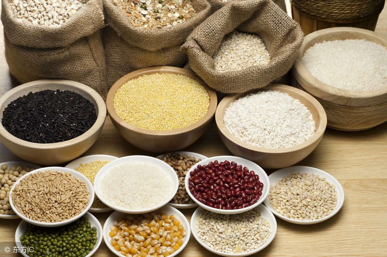 烹饪的本质是什么,烹饪的概念与方法