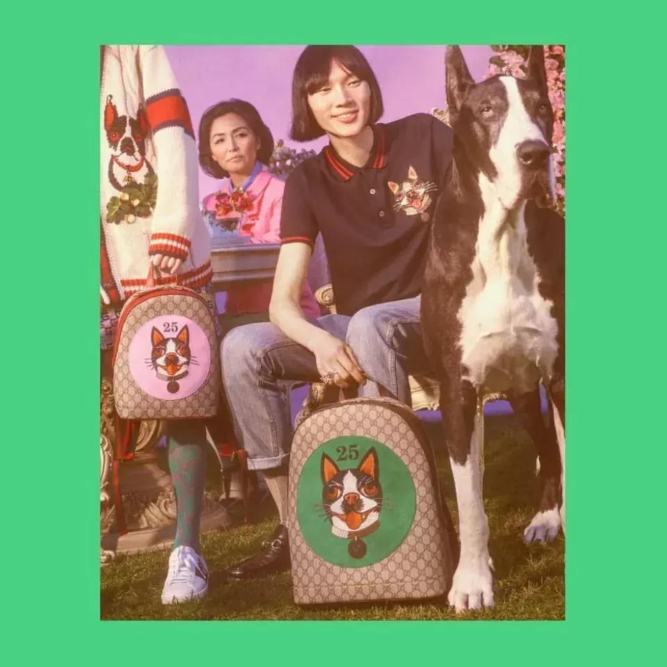 红双喜限定系列,红双喜限定八星