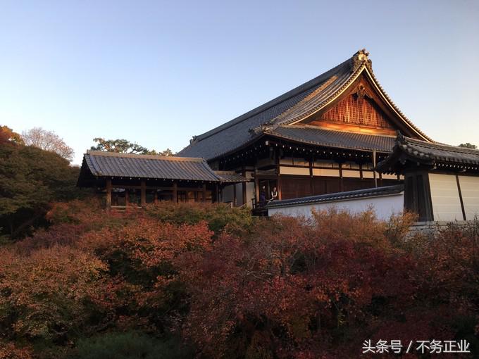 旅行|CoordinateBook06-No.535.0116°N,135.7680°E京都