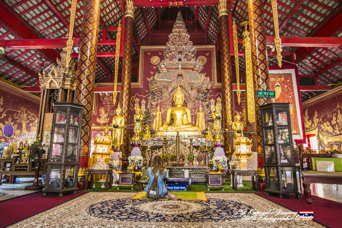 泰国清迈县旅行者,清迈佛寺之城等你采撷的泰北玫瑰