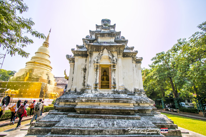 清迈佛寺之城等你采撷的泰北玫瑰,清迈环球旅行家