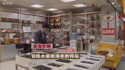 90年代300万养海参,东北小伙花费上亿养海参