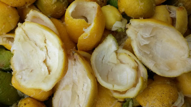 扔过就后悔！祛痘淡斑全靠它~而你竟把它当“垃圾”扔掉