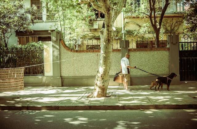 土著带你游东京,土著带你游重庆
