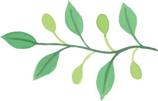 贵州恒丰最新外援消息,贵州恒丰2021引进球员