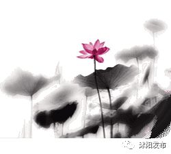 把沭阳写成“赋”——慰我彷徨,解我思乡!