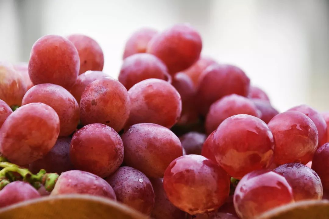 还未脱单？元宵前去东湾村吧，邂逅浪漫！