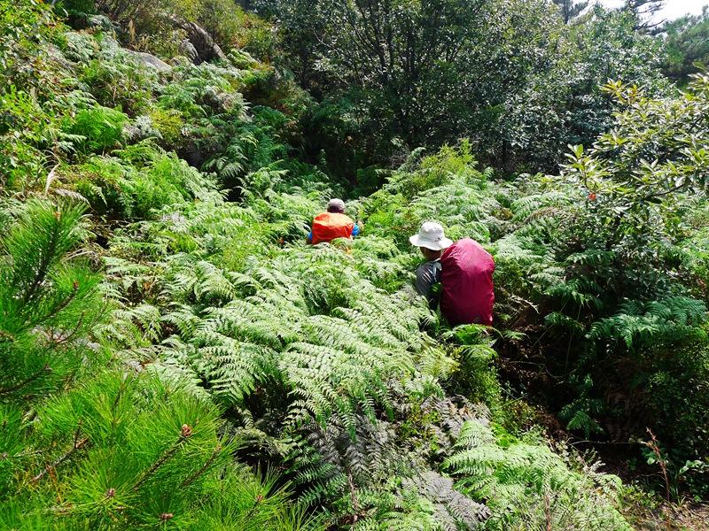 蒙山三十六计之十六：雨潜麻峪环古寺