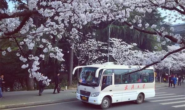 长春出发最便宜的一个机票,7月长春出发特价机票