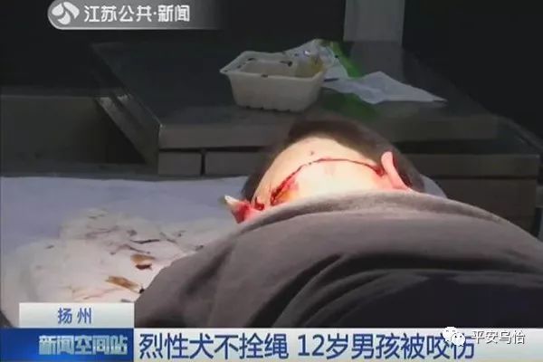 戊戌年属狗今年多大岁数,戊戌年下半年狗人运势